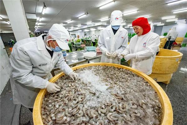 “魚鮮蟹肥”撲騰出海！汕頭海關助牛田洋水產(chǎn)出口