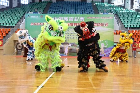 金鑼震天，潮韻飛揚！潮州英歌舞獅點燃全城活力！